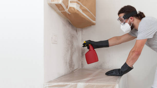 Professional Bathroom Mold Removal technician working in South Elgin, IL